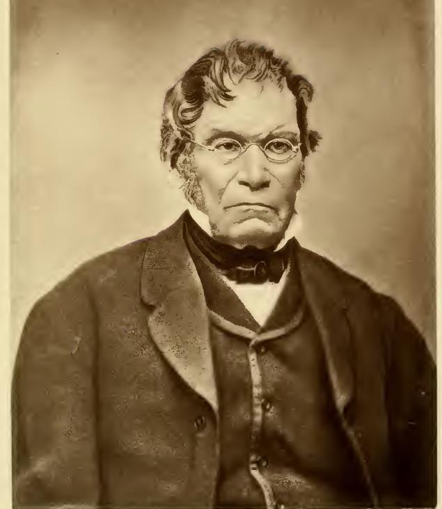 Luther Stone