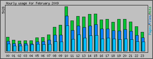 Hourly usage