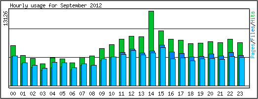 Hourly usage