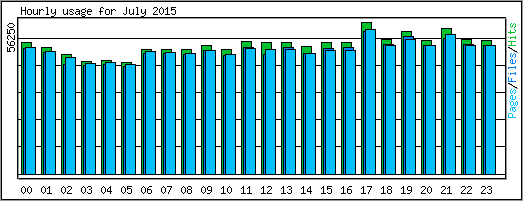 Hourly usage