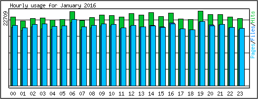 Hourly usage