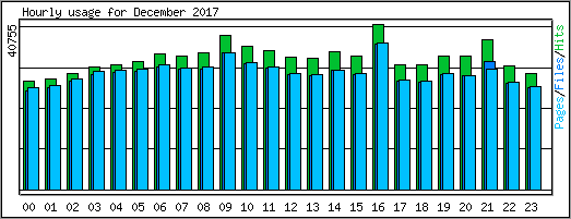Hourly usage