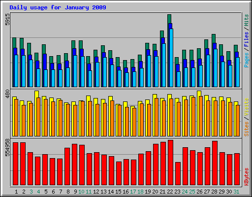 Daily usage for January 2009