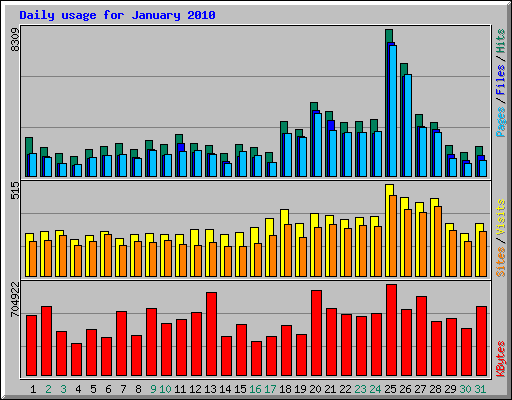 Daily usage for January 2010
