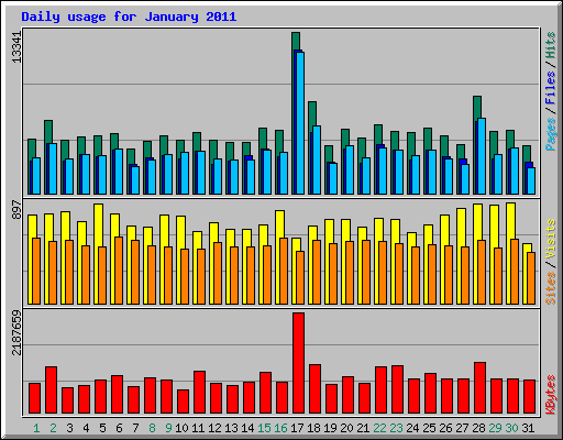 Daily usage for January 2011