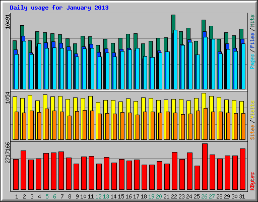 Daily usage for January 2013