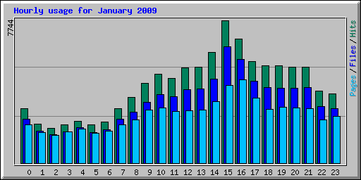 Hourly usage for January 2009