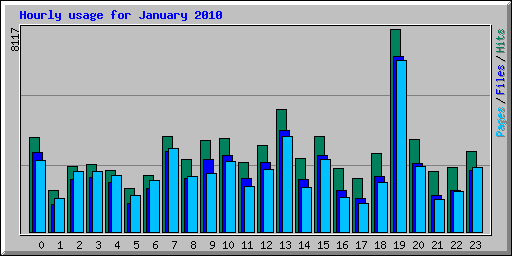 Hourly usage for January 2010