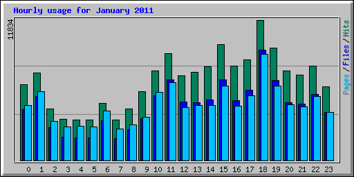 Hourly usage for January 2011