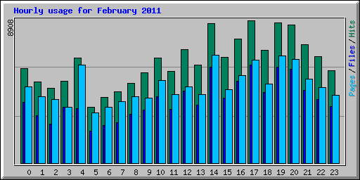 Hourly usage for February 2011