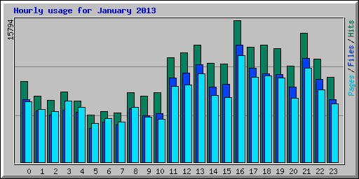 Hourly usage for January 2013