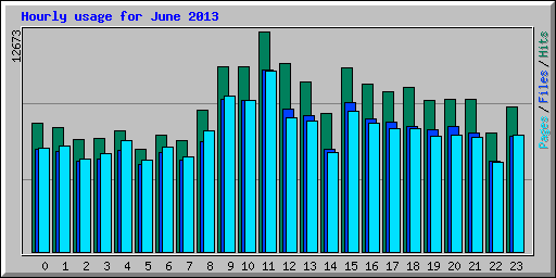 Hourly usage for June 2013