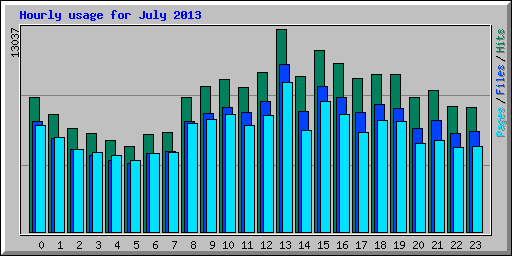 Hourly usage for July 2013