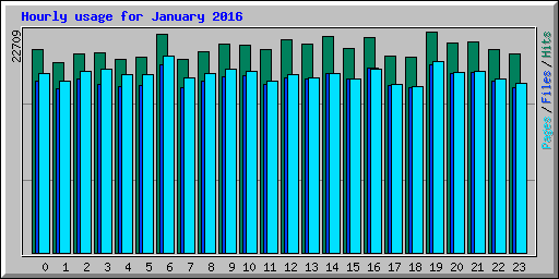 Hourly usage for January 2016