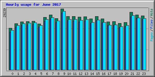 Hourly usage for June 2017