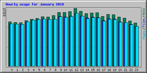Hourly usage for January 2018